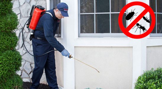 Reyhanlı Dezenfeksiyon böcek ilaçlama ve haşere kontrolü — ilaclama-tr.com